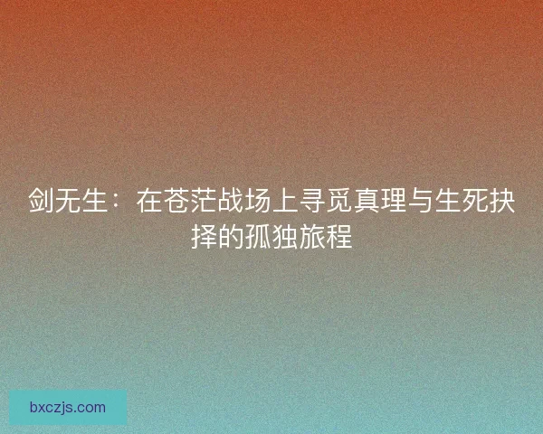 剑无生：在苍茫战场上寻觅真理与生死抉择的孤独旅程